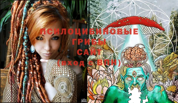 прущая мука Бронницы