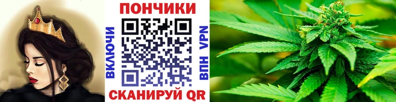 Бошки Шишки индика  Тбилисская 